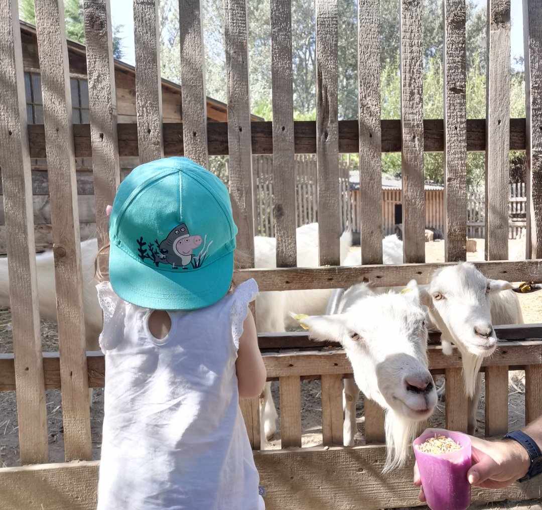 Vienna Kids Farm Gelände